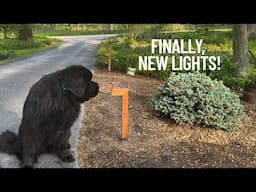 An upgrade for the driveway garden