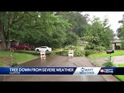 A fallen tree is causing concern in a Clinton neighborhood