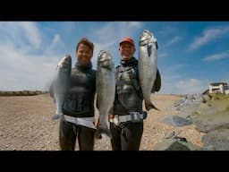 Best Spring Spearfishing season I've ever had! 2025 Highlights
