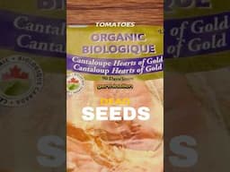 Are Your Tomatoes Seeds Already Dead? #tomatoes #growingtomatoes