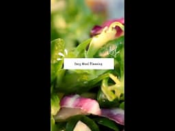 Meal Plan for Busy Professionals  Quick  Balanced Ideas #shorts