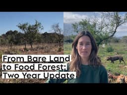 #46 Two Years Later: How I turned Bare Land into a Mediterranean Food Forest