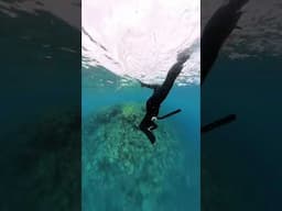 why I don't want a 9-5 job @PADI