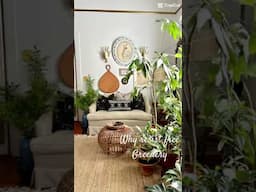 Add the Greenery especially when it’s free #lifestyleofthethriftandfamous #ihavethisthingwithplants