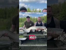 Catfish of Epic Proportions: Hooked!
