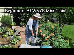 Come, Let’s Water Potted Plants: What Every Beginner Gets Wrong