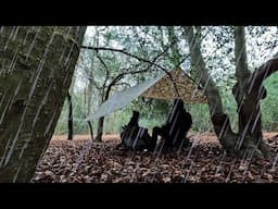 Rainy Camping in the Cold Forest