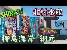 北村水産2025　柳島海岸 網元　ギフト🎁燃えるしらす#茅ヶ崎  #湘南  #しらす漁  。