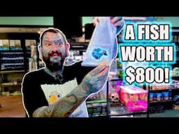 I WANT THIS AMAZING FISH!- Unboxing Crazy Cool Aquarium Fish!