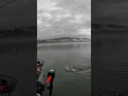 Big Smallmouth Bass on a Jerkbait!