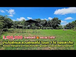บ้านไม้สักและสวนผักผลไม้ โฉนด 1ไร่ ดอยสะเก็ด ใกล้เมือง 18 กม. ติดถนน ทำร้านอาหาร-กาแฟ บ้านพักบ้านสวน