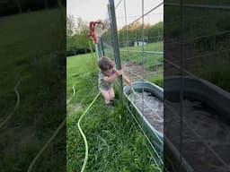 Rhett Loves Doing Chores! #calf #farming #homestead #chores