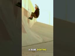 His best skate section ever