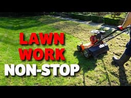 FIVE lawn renovations in one day... Can we do it?