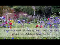 Faversham Open Gardens 27 fabulous gardens to explore with the National Garden Scheme Sunday 29 June