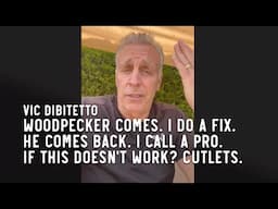 Woodpecker comes. I do a fix. He comes back. I call a pro. If this doesn't work? Cutlets.