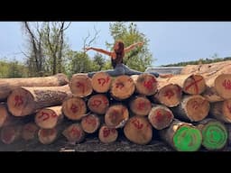 I’m split about what to cut out of these logs 😆