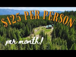 How We Keep Groceries Under $500 a Month  | $125 Per Person | The $2 Per Pound Rule