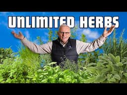 How to Grow UNLIMITED HERBS from Home! (Beginner Friendly)