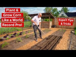 Corn Planting Secrets You Need to Know: Tips from a World Record Grower!