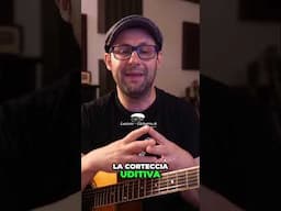 Da dove arriva la musica?