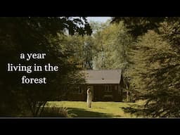 the healing power of nature - a year living alone in the forest