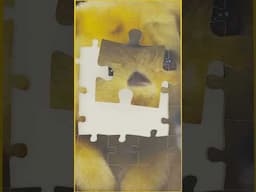 Surprised Pikachu Puzzle! 😲⚡🧩