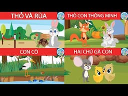 Tổng hợp Truyện cổ tích #3 | Chuyện Rùa Và Thỏ - Thỏ Con Thông Minh - Con Cò - Hai Chú Gà Con