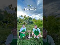THE BEST APP FOR PLANTING TREES (for free!) 🌳