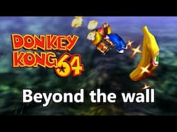 Donkey Kong 101% World Record History - Beyond the wall