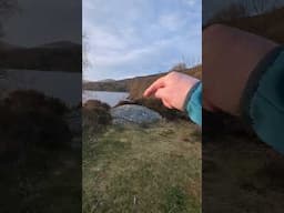 Quick Wild Camp In The PreTents Border with Bored Man Jim