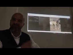 Dog Photo Evaluation by a Professional Breeder, Judge, and Cynologist | Honest Analysis!