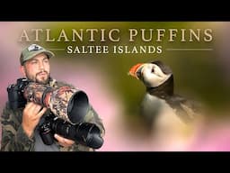 Photographing Puffins 2025 - Saltee Islands Ireland (Wildlife Photography)