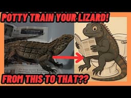 HOW TO POTTY TRAIN YOUR LIZARD | CUBAN ROCK IGUANA