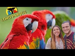 Así es LORO PARQUE Tenerife 2025 | El Mejor parque de animales del mundo | CONSEJOS (Canarias)