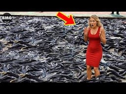 Incredible Moments Caught On Camera | Best Of 2025 - The Dumbest Reactions Ever Caught