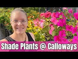 🌿 Shade Plant Shopping at Calloway's Nursery + Hunting for Great Deals!