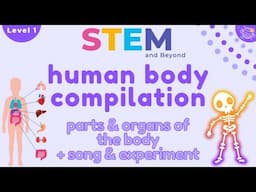 Human Body Compilation | Science For Kids | STEM Home Learning