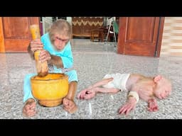 Baby monkey hand pain, CUTIS takes care  in the most special surprising way