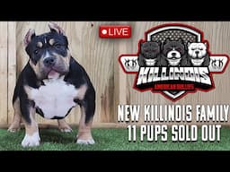 KILLINOIS KENNELS LIVE!!!! U WONT BELIEVE WHAT HAPPENED ON OUR LAST DROP!!!!!
