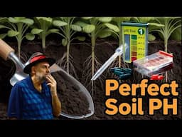 Soil pH 🌈🌐🌌 How to Measure and Adjust It - Should you care??