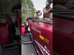 Hello Spring, let’s go for a ride! #uralmotorcycles  🎥 @florida_the_dog via IG