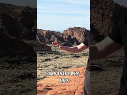 Snow Canyon: John Wayne's Lost Gobi Desert Movie Set