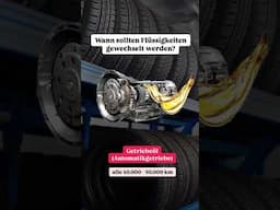 Wer hat was dazu gelernt❓🚗 #automobile #autofahrt #kfz