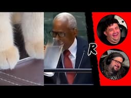 UNUSUAL MEMES COMPILATION V306 & V307 | RENEGADES REACT