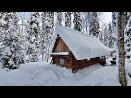 I SPENT THE NIGHT in a Cozy Log Cabin with My Dog