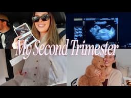 MY PREGNANCY SO FAR: Second Trimester Vlog & Gender Reveal | Suzie Bonaldi