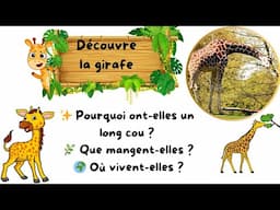 🦒 Découvre les girafes ! vidéo éducative  sur les girafes, les animaux les plus hauts du monde !