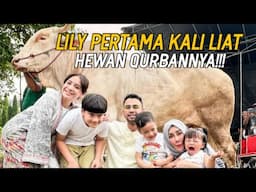 CIPUNG AJAK RAFFI NAGITA DAN KELUARGA BESAR SAKSIIN HEWAN QURBANNYA DIPOTONG!!!