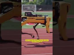 They’re getting faster and jumping higher—what will #robots learn to do next?